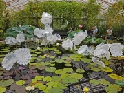 Glass sculpture_001