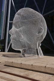 Head