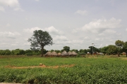 Huts