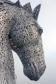 Kelpie 1