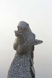 Kelpie 3