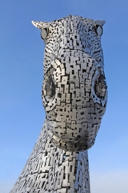 Kelpie 4