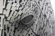 Kelpie eye