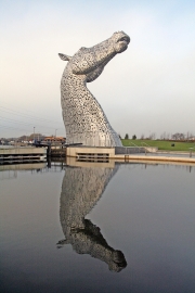 Kelpie reflection