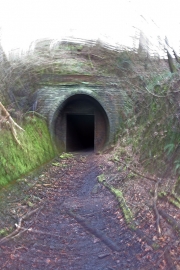 Neidpath tunnel 2