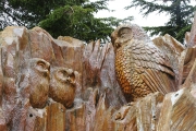 Owl carving