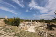 Salamis