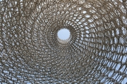 The hive