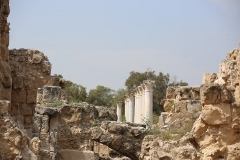 Salamis Columns