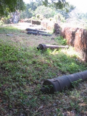 Abandoned cannon