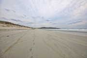 Balephuil Bay 2