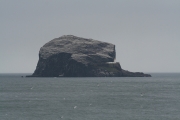 Bass rock