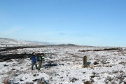 Covenanters grave