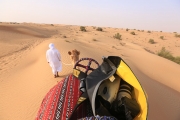 Desert Camel