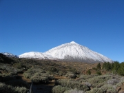 El Tiede