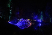 Enchanted Forest 1