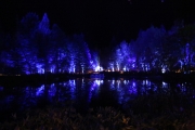 Enchanted Forest 4