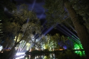 Enchanted Forest 7