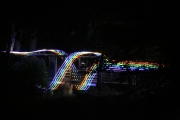Enchanted Forest 9