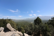 Forested mountains