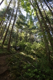 Gowlland Todd provincial park