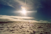 Minch Moir