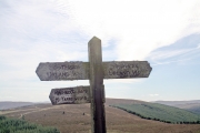 Moss covered sign