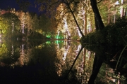 Reflections