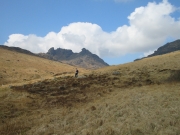 The Cobbler