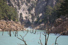 River Manavgat & flooded trees