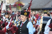 Piper