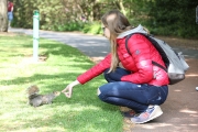 Squirrel feeding