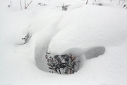 Snow formation