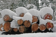 Snow logs