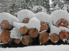 Snow logs