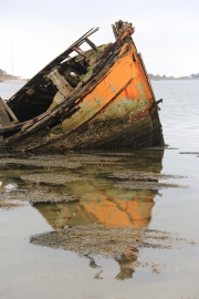Abandoned Reflection
