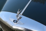 Bentley hood emblem