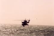 Low flying Lynx