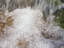 Waterfalls
