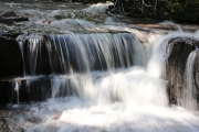 Joe Creek 1