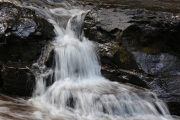 Joe Creek 2