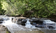Joe Creek 3