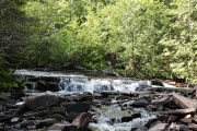Joe Creek 4